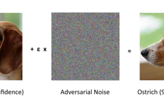 Diagram showing adversarial perturbation in AI models - visual representation of security vulnerabilities in artificial intelligence systems